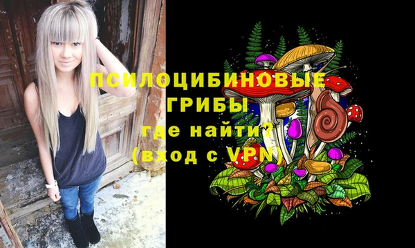 ешки Абинск