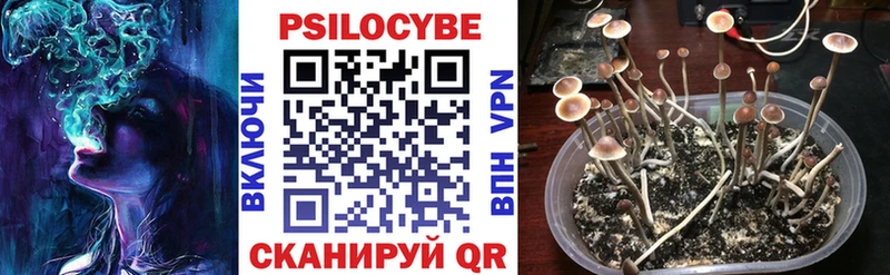 купить   ОМГ ОМГ ссылки  Галлюциногенные грибы GOLDEN TEACHER  Воткинск 