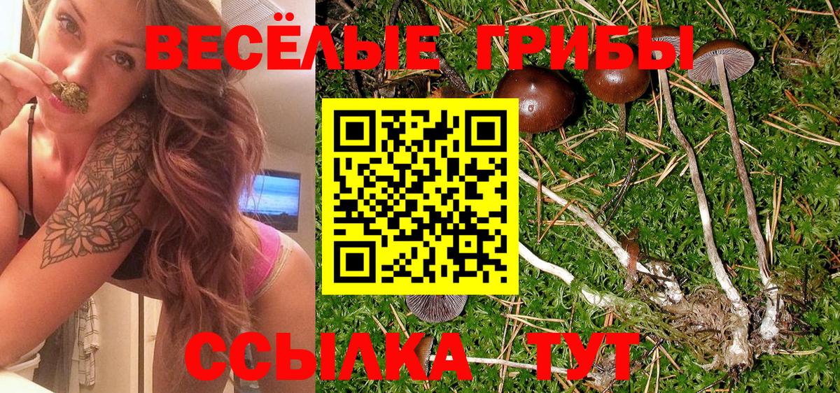 Воткинск  Галлюциногенные грибы MAGIC MUSHROOMS  Вход с VPN 